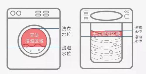 全自动波轮洗衣机的清洗方法（简单有效的保养技巧）