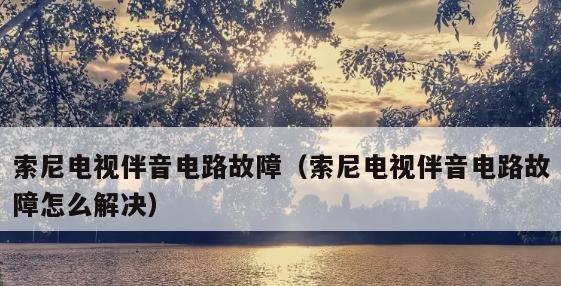 电视机声音大小变化的原因及故障处理（解析电视机声音大小不稳定的原因和处理方法）