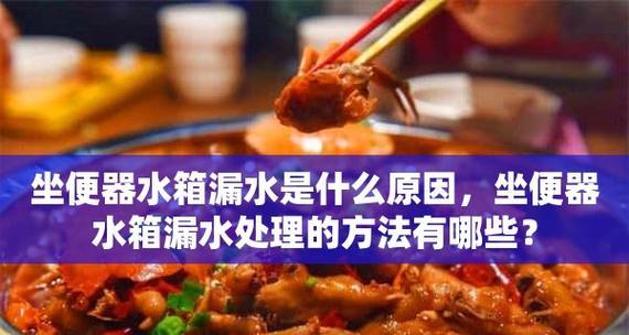 马桶漏水的原因及解决方法（揭开马桶漏水的真相）